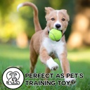 12 pack Tennis Balls