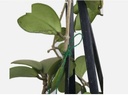 125m Garden Jute Twine Green Plant Support String