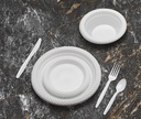100 Classic Plastic Forks