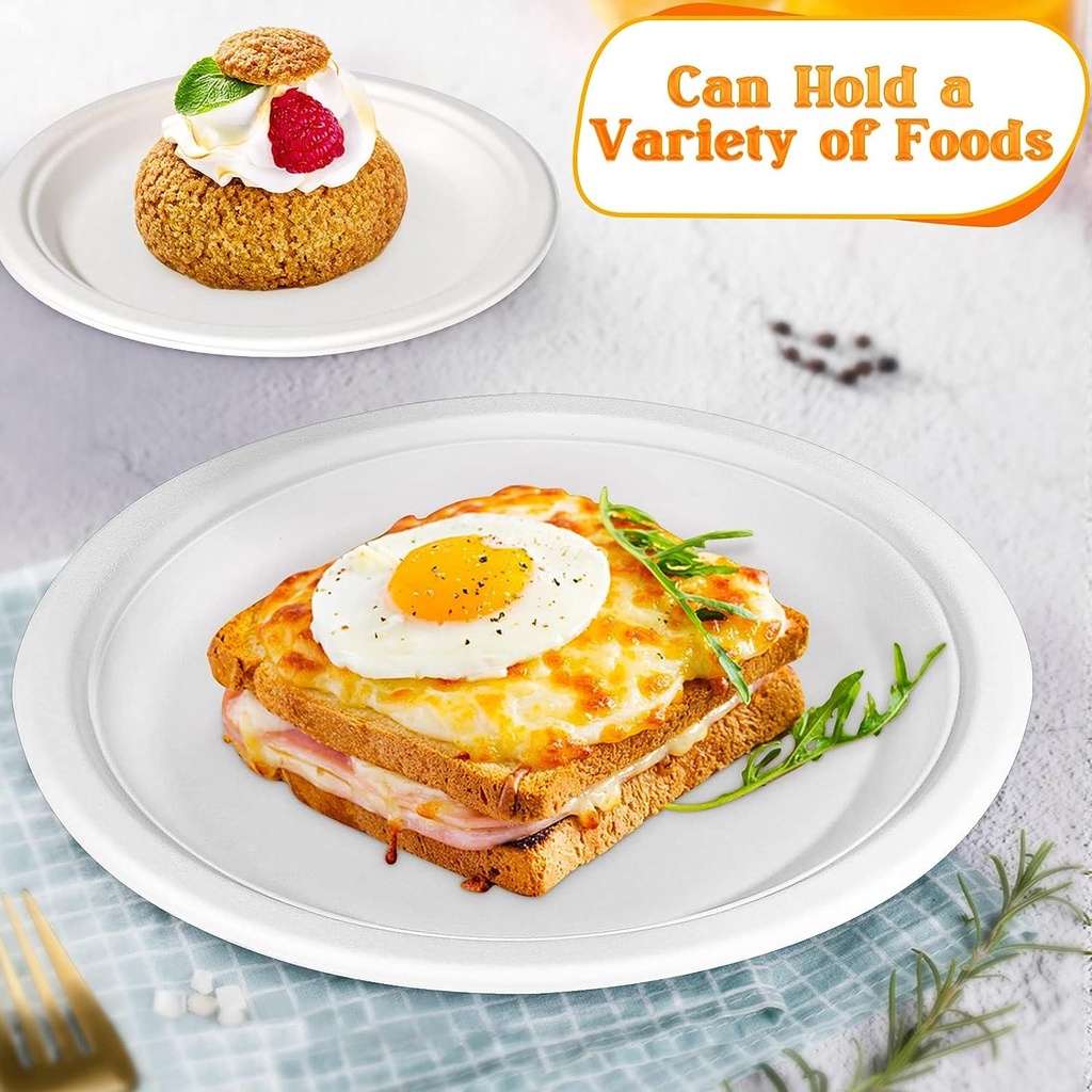 10'' Biodegradable bagasse Plates