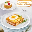 10'' Biodegradable bagasse Plates