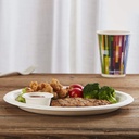 10'' Biodegradable bagasse Plates