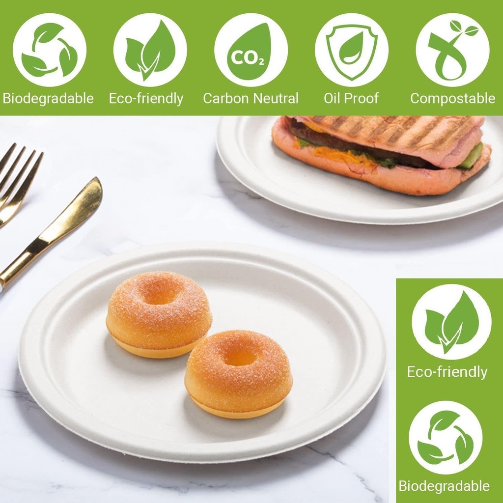 10'' Biodegradable bagasse Plates