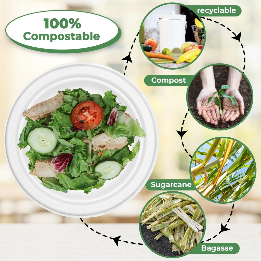 100 x 10" Plain Bagasse Round Disposable Plates