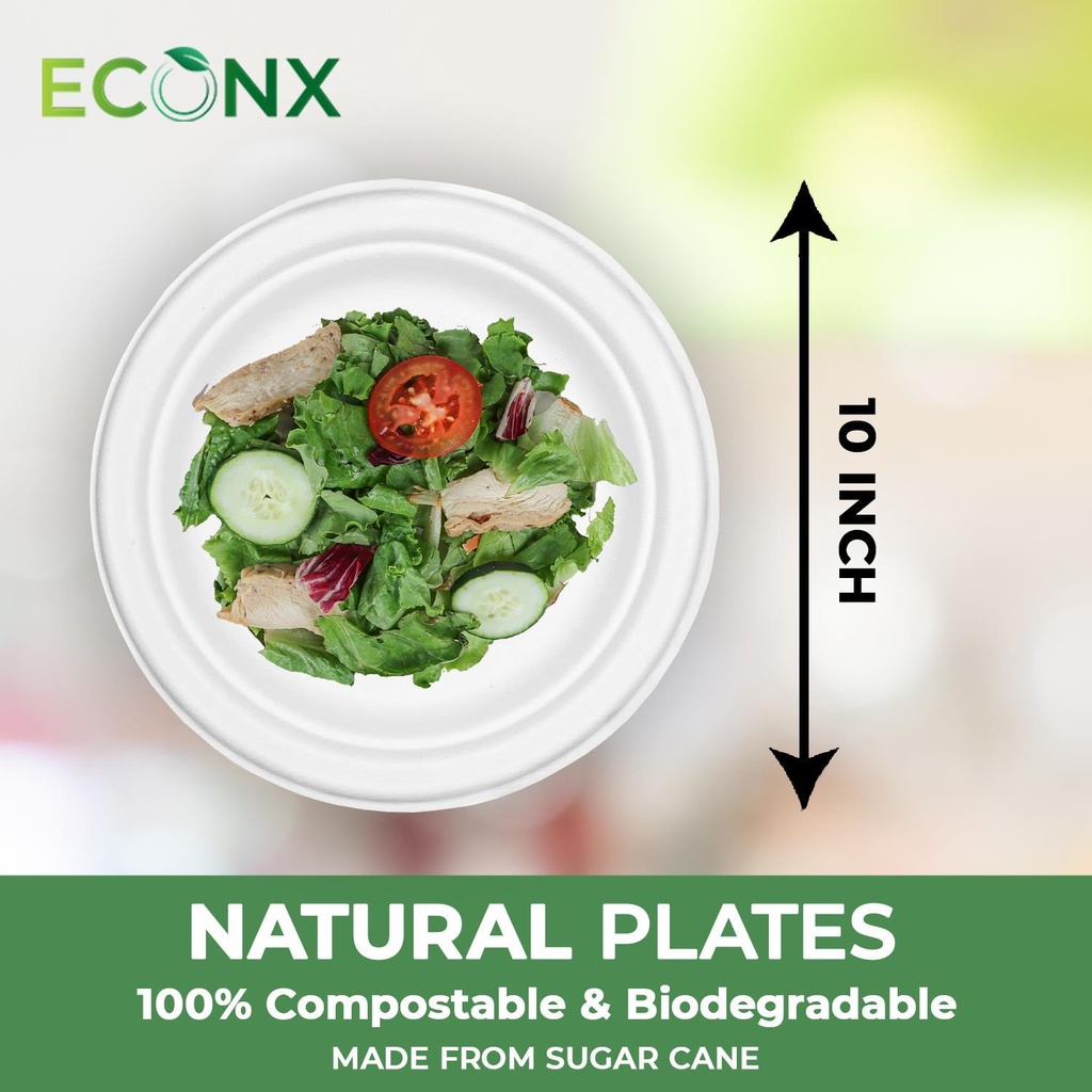 100 x 10" Plain Bagasse Round Disposable Plates