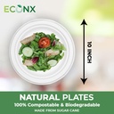 100 x 10" Plain Bagasse Round Disposable Plates