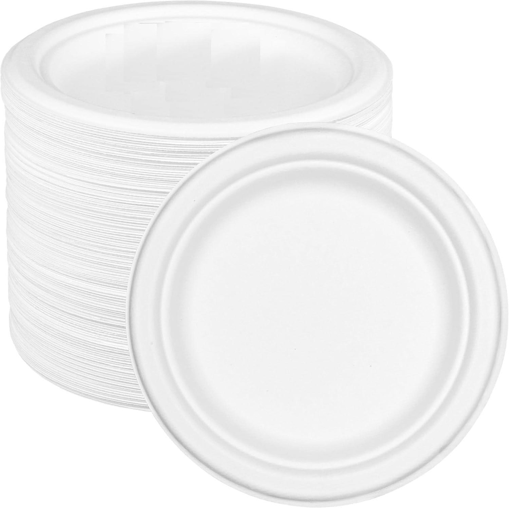 100 x 10" Plain Bagasse Round Disposable Plates