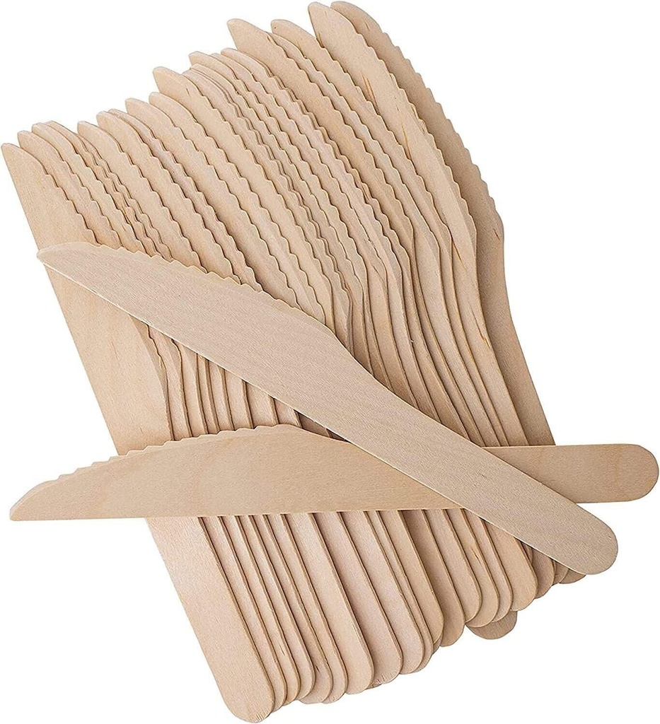 100 PCS WOODEN KNIFE