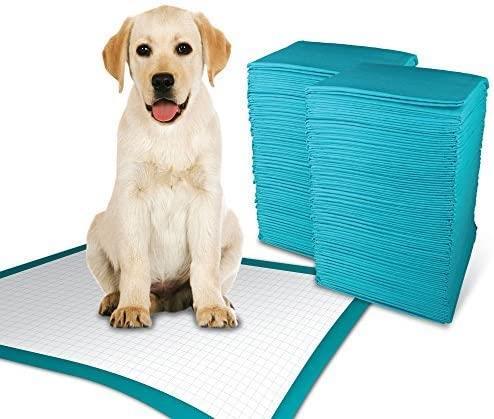 100 X Puppy Training Pads 60X60Cm